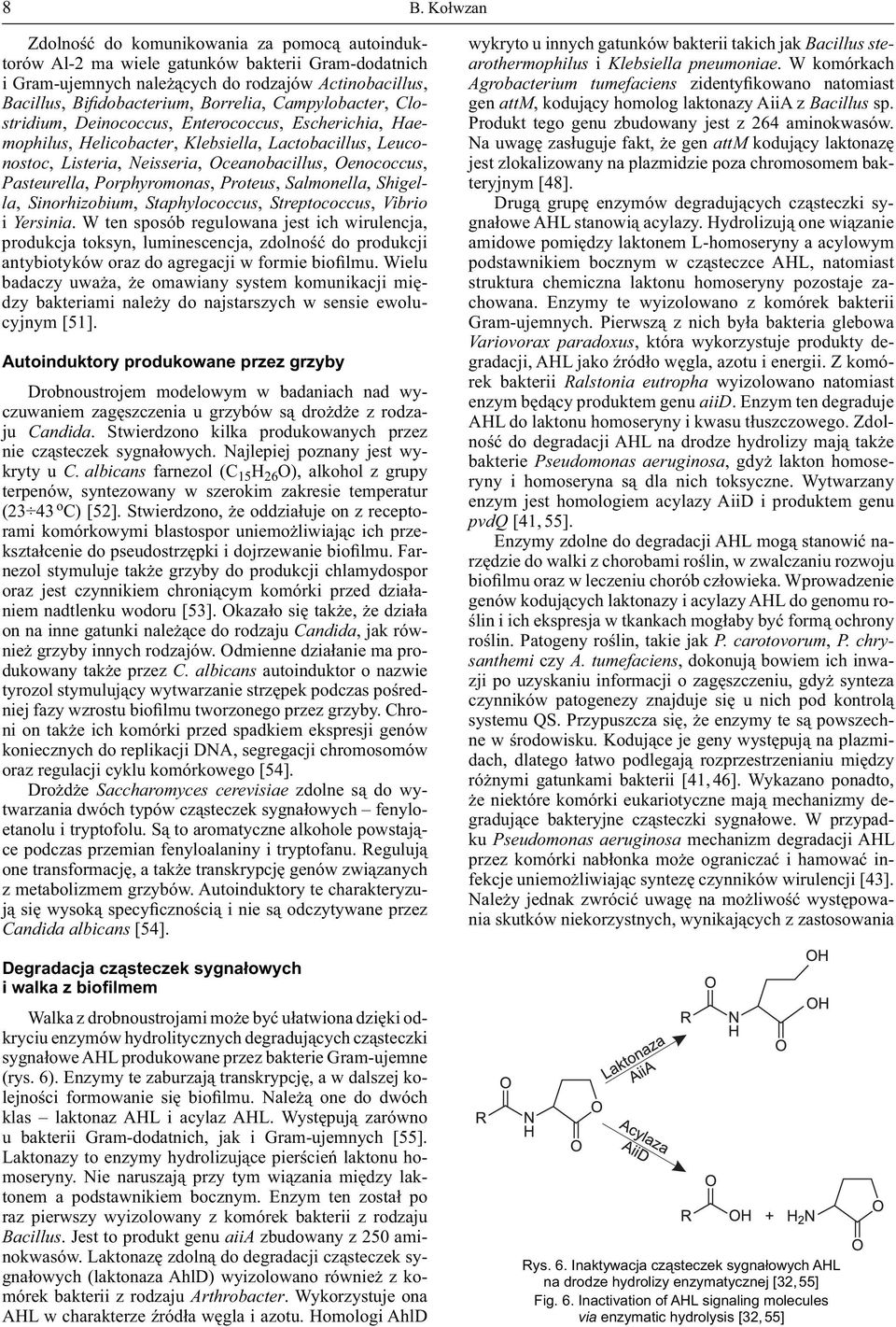 Pasteurella, Porphyromonas, Proteus, Salmonella, Shigella, Sinorhizobium, Staphylococcus, Streptococcus, Vibrio i Yersinia.