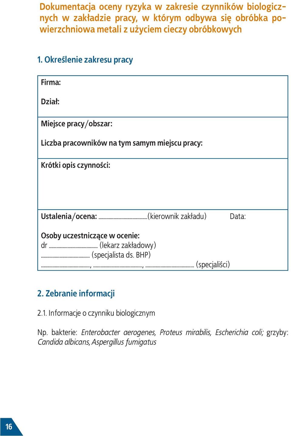 Określenie zakresu pracy Firma: Dział: Miejsce pracy/obszar: Liczba pracowników na tym samym miejscu pracy: Krótki opis czynności: Ustalenia/ocena: