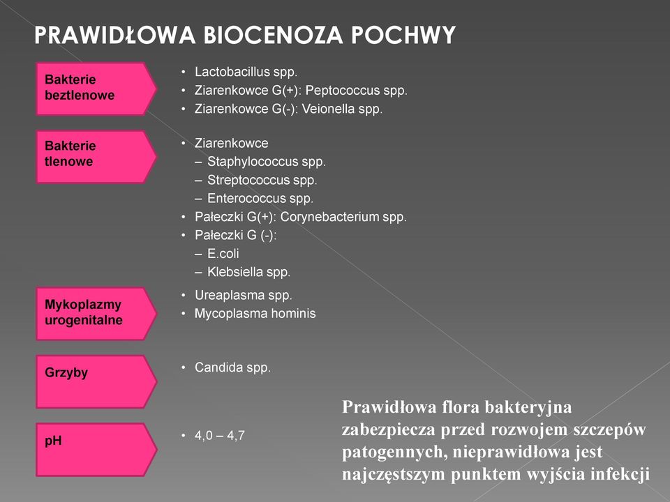 Enterococcus spp. Pałeczki G(+): Corynebacterium spp. Pałeczki G (-): E.coli Klebsiella spp. Ureaplasma spp.