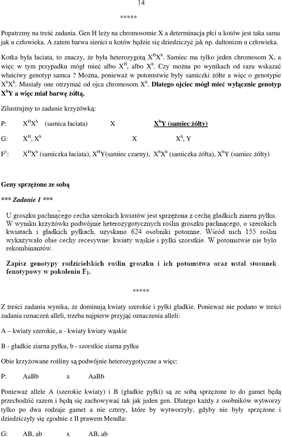 Czy można po wynikach od razu wskazać właściwy genotyp samca? Można, ponieważ w potomstwie były samiczki żółte a więc o genotypie X h X h. Musiały one otrzymać od ojca chromosom X h.