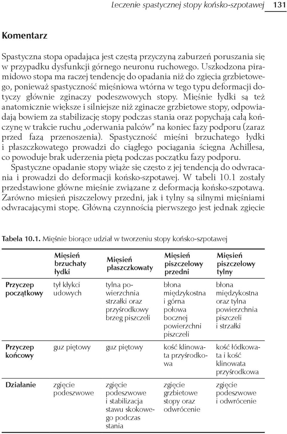 Mięśnie łydki są też anatomicznie większe i silniejsze niż zginacze grzbietowe stopy, odpowiadają bowiem za stabilizację stopy podczas stania oraz popychają całą kończynę w trakcie ruchu oderwania