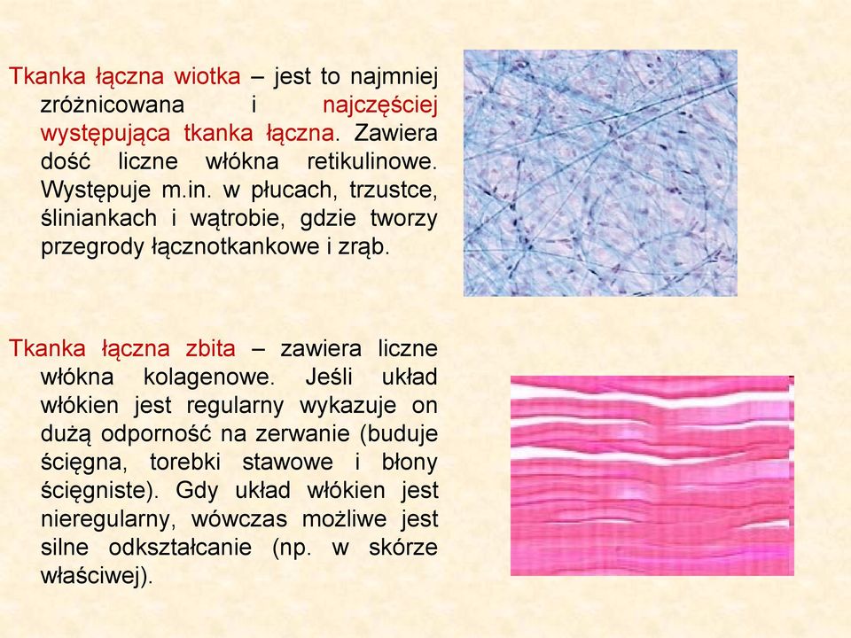 Tkanka łączna zbita zawiera liczne włókna kolagenowe.