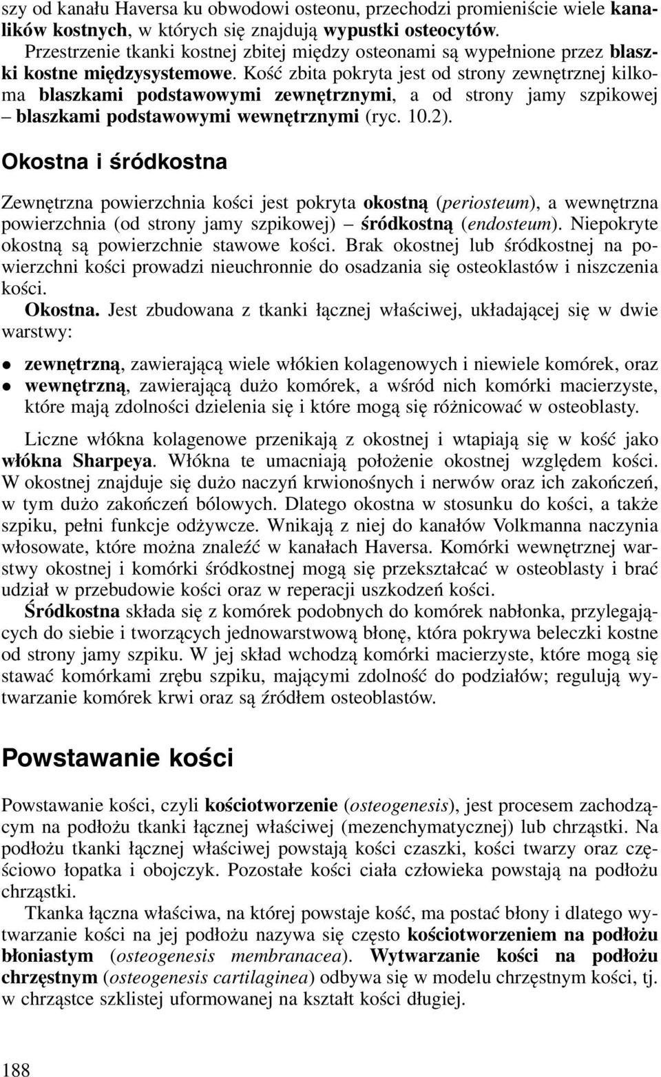 Kość zbita pokryta jest od strony zewnętrznej kilkoma blaszkami podstawowymi zewnętrznymi, a od strony jamy szpikowej blaszkami podstawowymi wewnętrznymi (ryc. 10.2).