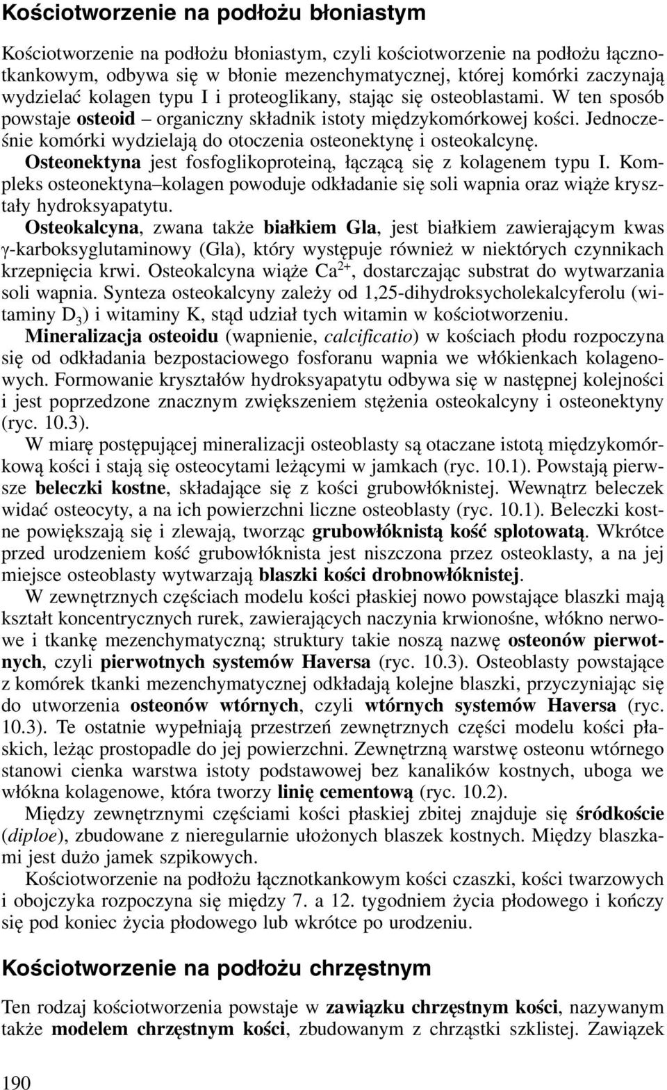 Jednocześnie komórki wydzielają do otoczenia osteonektynę i osteokalcynę. Osteonektyna jest fosfoglikoproteiną, łączącą się z kolagenem typu I.