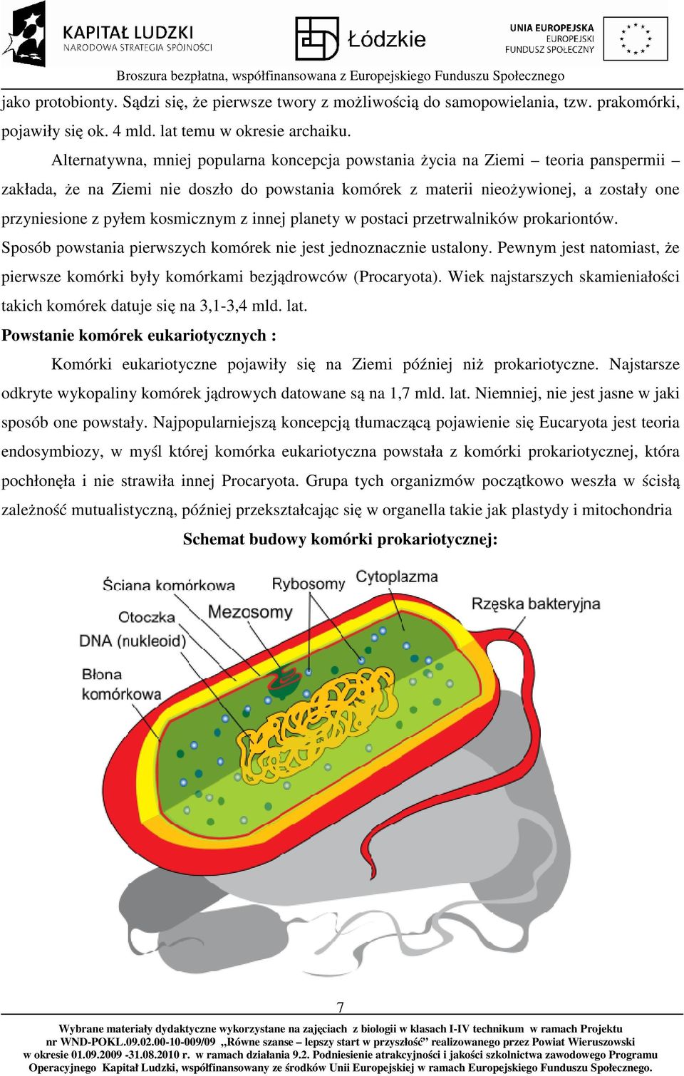 kosmicznym z innej planety w postaci przetrwalników prokariontów. Sposób powstania pierwszych komórek nie jest jednoznacznie ustalony.