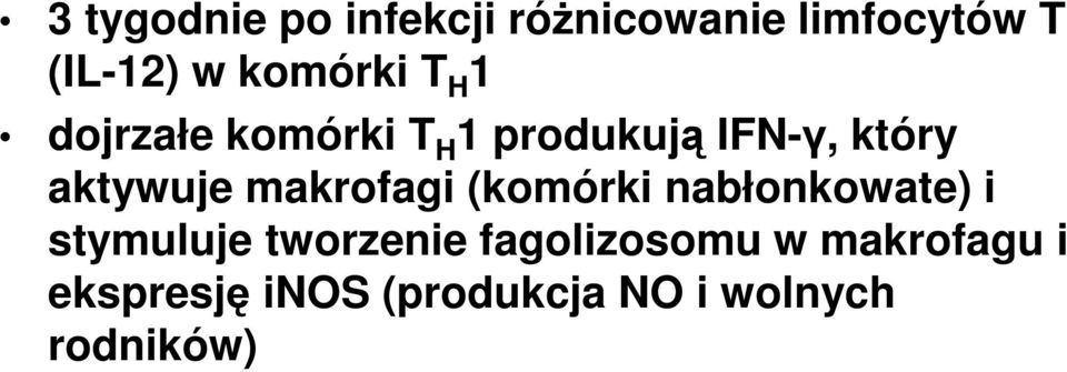 aktywuje makrofagi (komórki nabłonkowate) i stymuluje tworzenie
