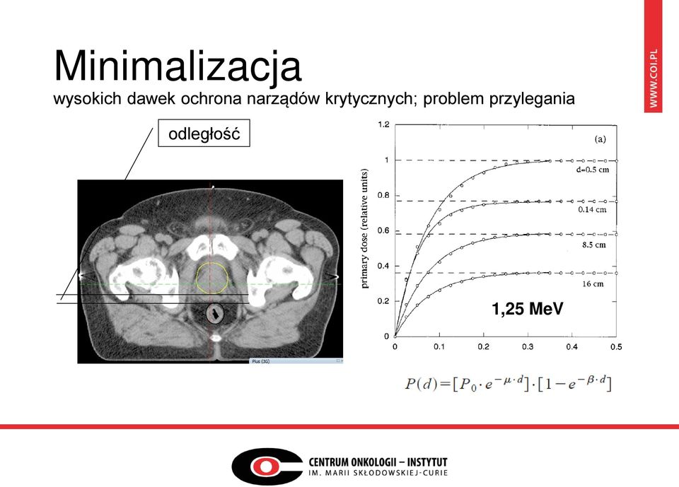 krytycznych; problem