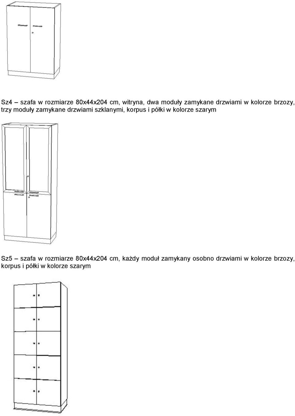 korpus i półki w kolorze szarym Sz5 szafa w rozmiarze 80x44x204 cm,