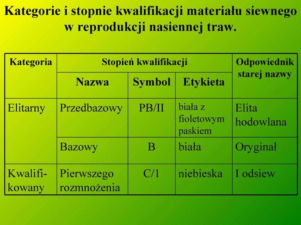 nazwy Elitarny Przedbazowy PB/II biała z fioletowym paskiem Elita hodowlana