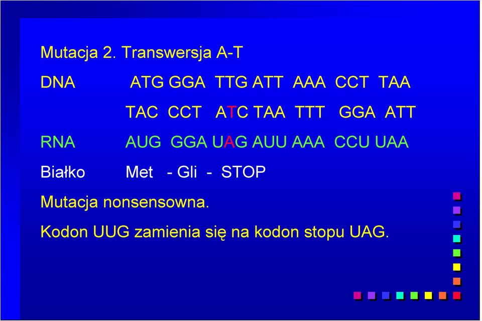 CCT ATC TAA TTT GGA ATT RNA Białko AUG GGA UAG AUU