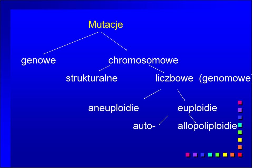 liczbowe (genomowe)