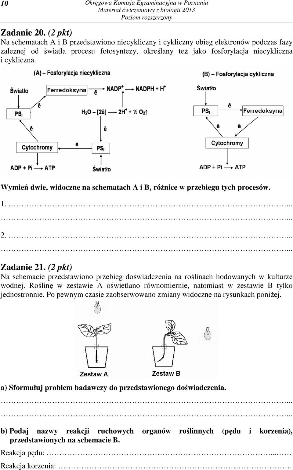 Wymień dwie, widoczne na schematach A i B, różnice w przebiegu tych procesów. 1.... 2.... Zadanie 21.