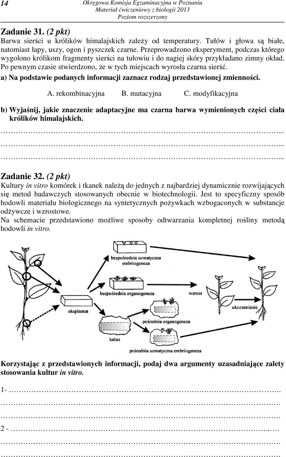 Po pewnym czasie stwierdzono, że w tych miejscach wyrosła czarna sierść. a) Na podstawie podanych informacji zaznacz rodzaj przedstawionej zmienności. A. rekombinacyjna B. mutacyjna C.