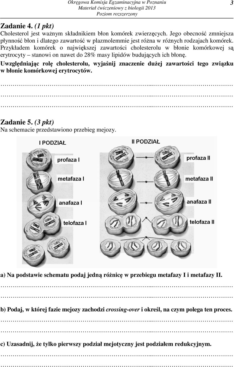 Wyjaśnij Znaczenie Komórek żernych W Nieswoistej Reakcji Obronnej Organizmu MATERIAŁ ĆWICZENIOWY Z BIOLOGII - PDF Darmowe pobieranie