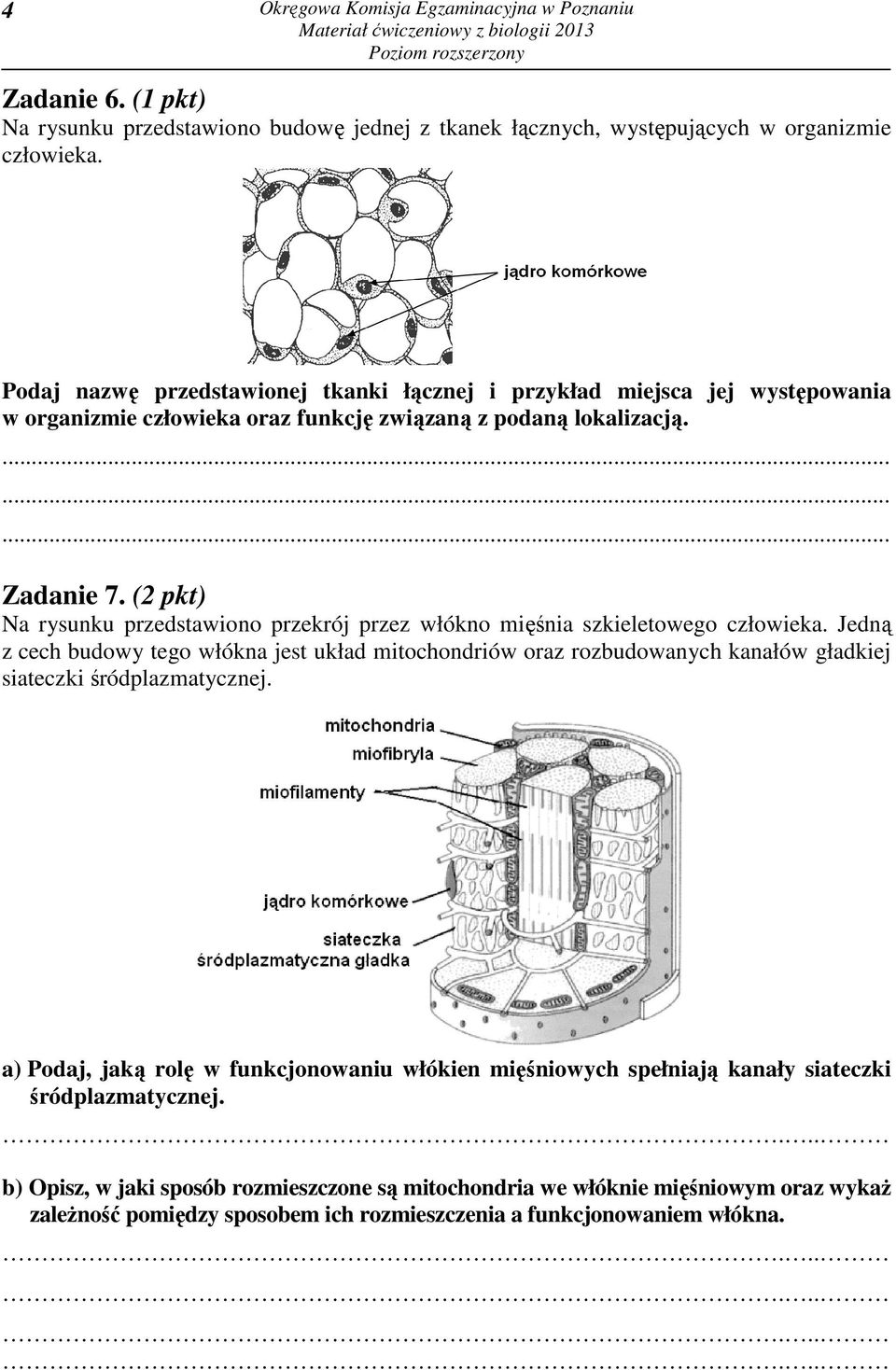 Na Rysunku Przedstawiono Plan Budowy Kończyn Człowieka MATERIAŁ ĆWICZENIOWY Z BIOLOGII - PDF Darmowe pobieranie