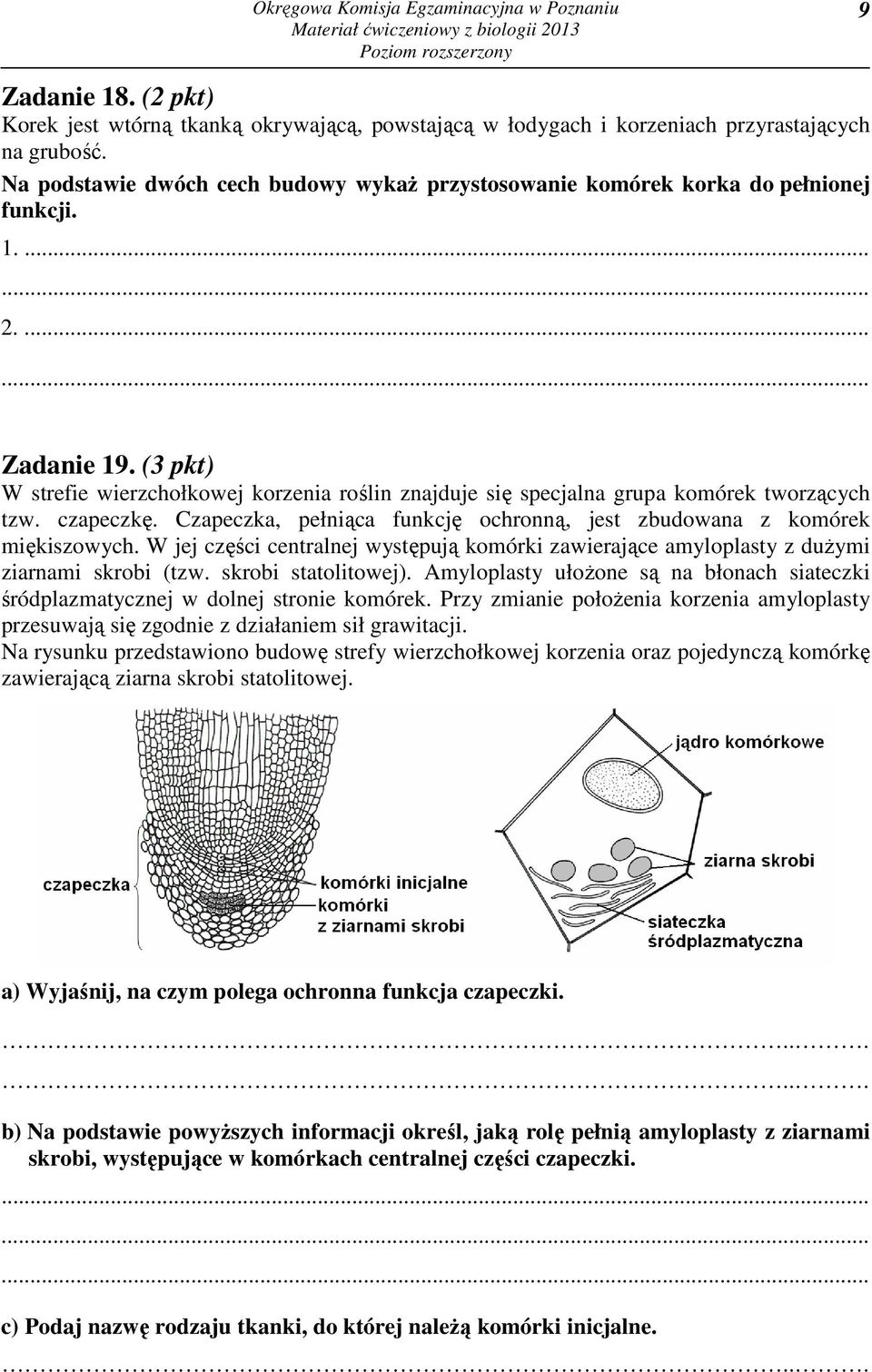(3 pkt) W strefie wierzchołkowej korzenia roślin znajduje się specjalna grupa komórek tworzących tzw. czapeczkę. Czapeczka, pełniąca funkcję ochronną, jest zbudowana z komórek miękiszowych.