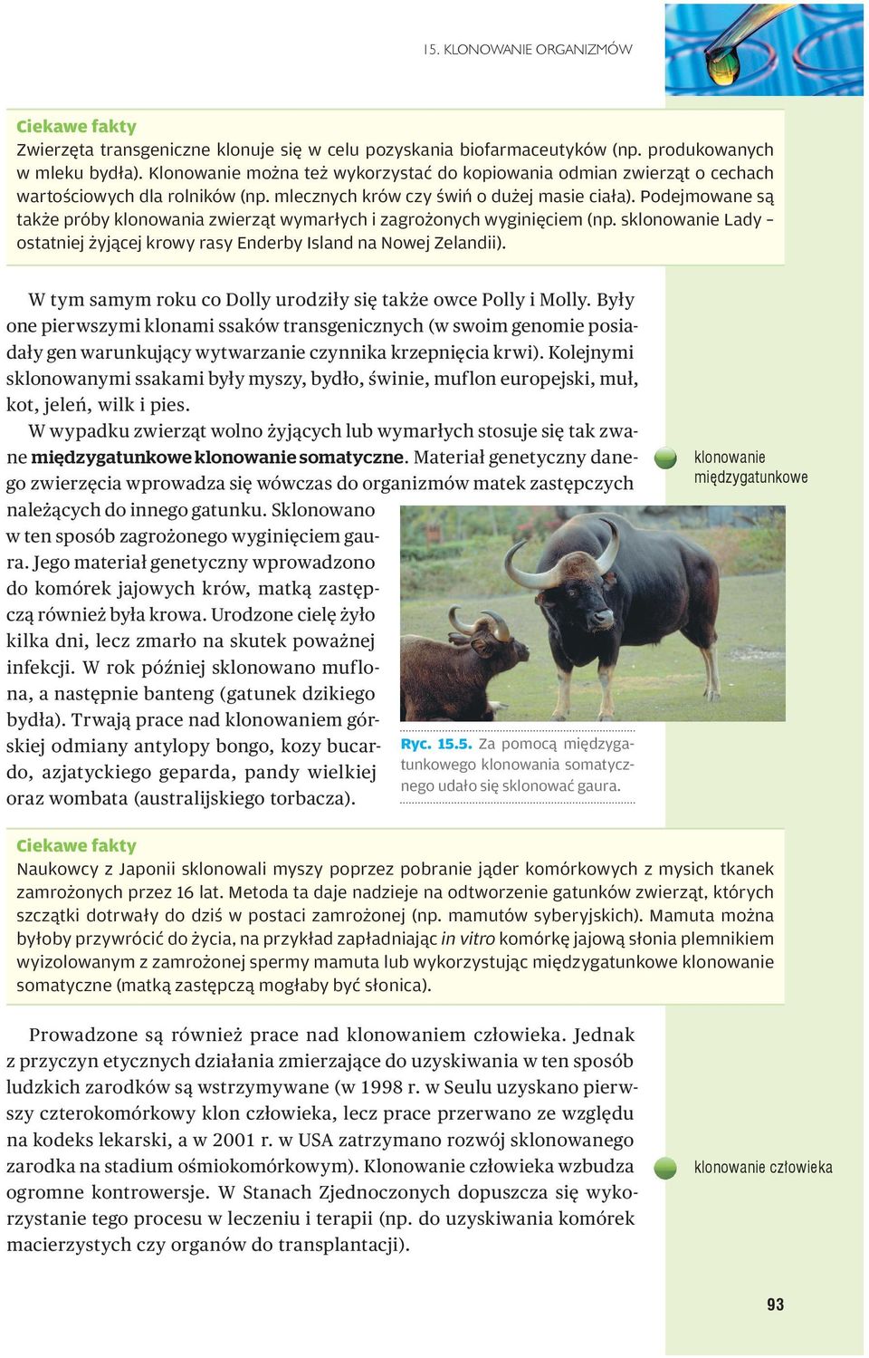 Podejmowane są także próby klonowania zwierząt wymarłych i zagrożonych wyginięciem (np. sklonowanie Lady ostatniej żyjącej krowy rasy Enderby Island na Nowej Zelandii).
