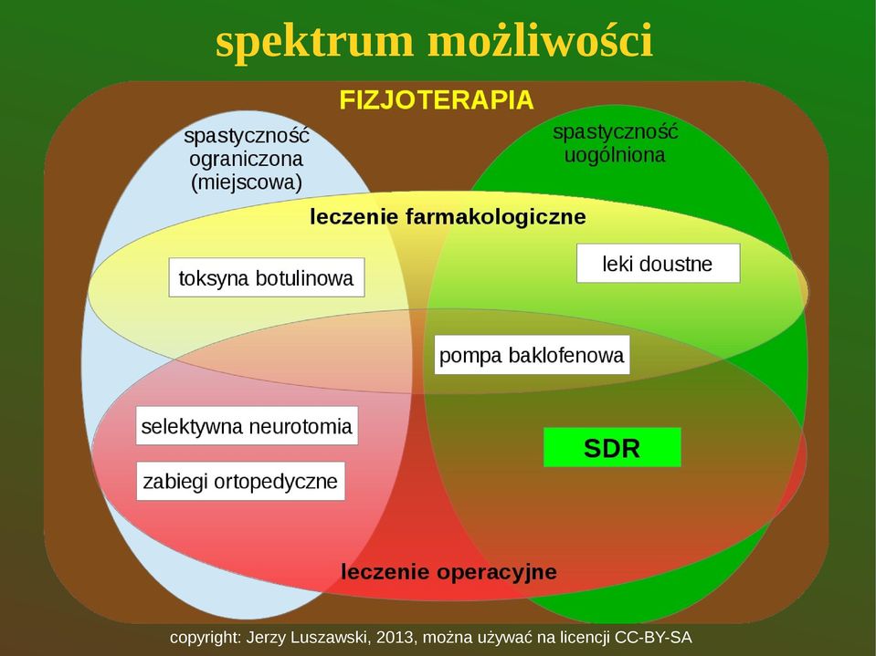Luszawski, 2013,