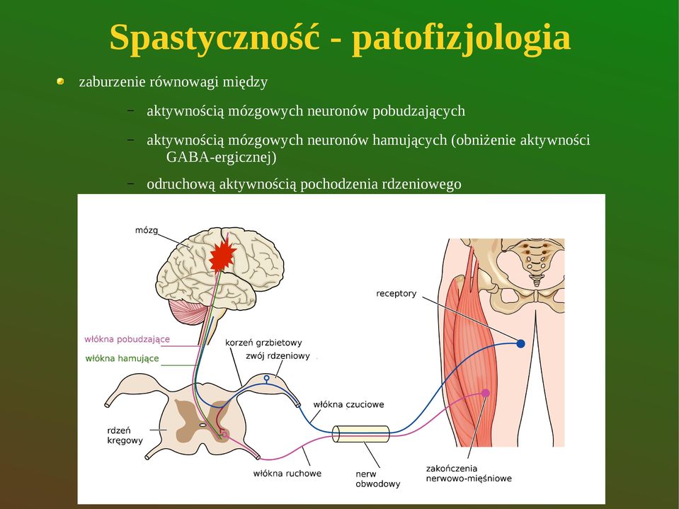aktywnością mózgowych neuronów hamujących (obniżenie