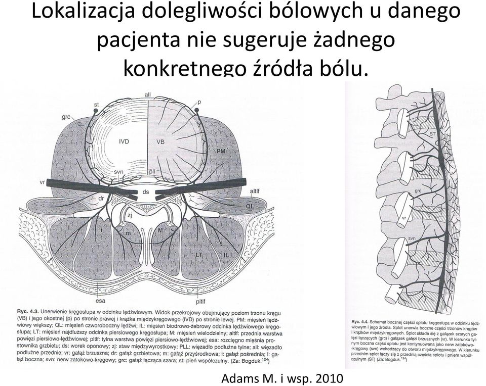 nie sugeruje żadnego