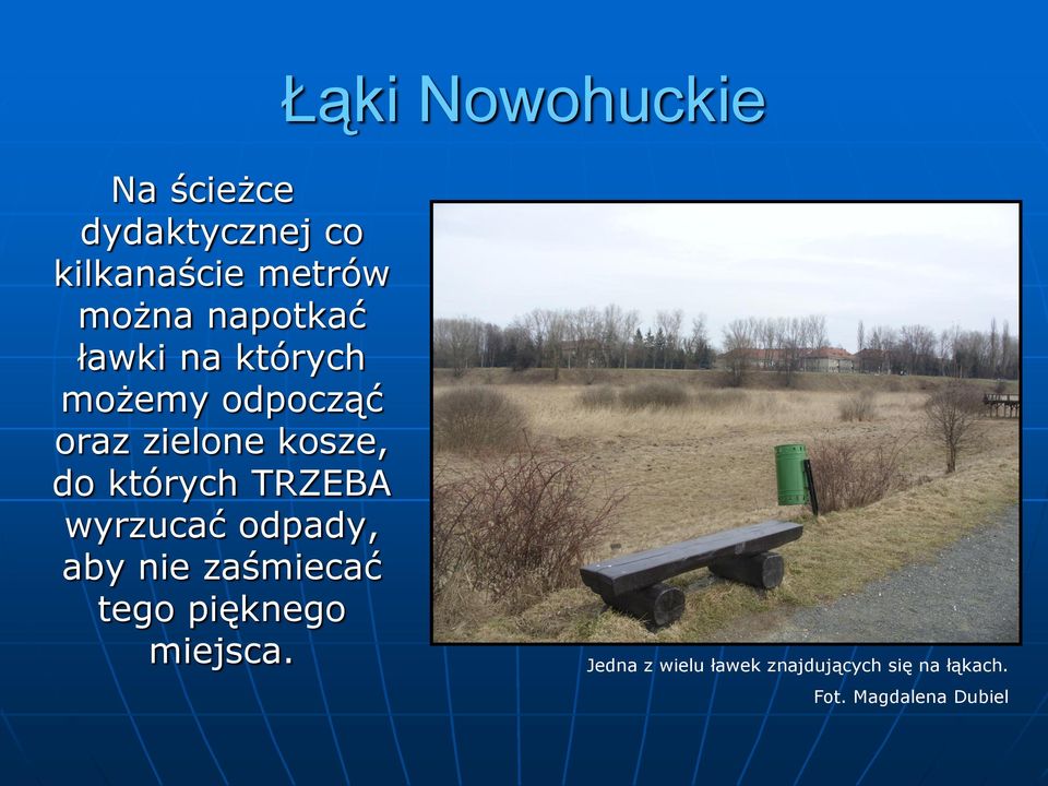 których TRZEBA wyrzucać odpady, aby nie zaśmiecać tego pięknego