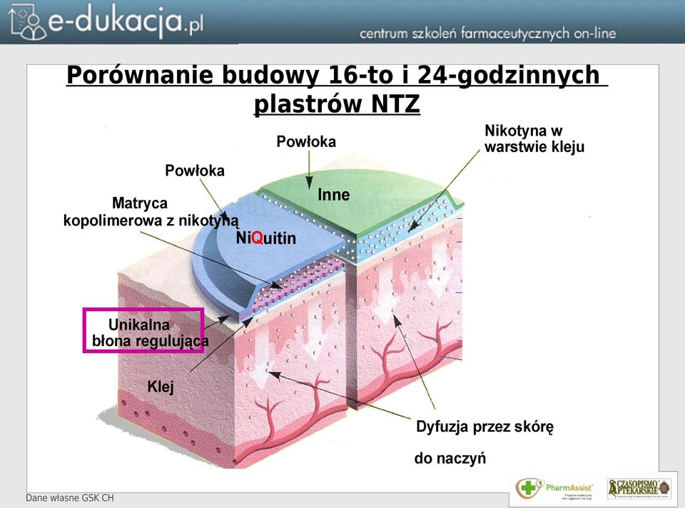 kopolimerowa z nikotyną Inne NiQuitin Unikalna błona