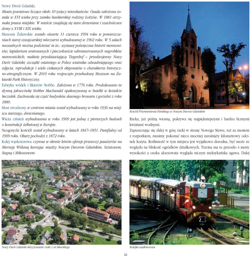Muzeum Żuławskie zostało otwarte 11 czerwca 1994 roku w pomieszczeniach starej szwajcarskiej mleczarni wybudowanej w 1902 roku. W 5 salach muzealnych można podziwiać m.in.