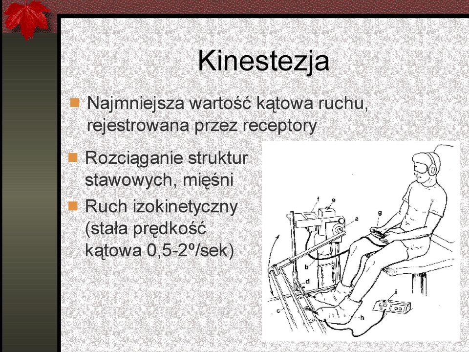 Rozciąganie struktur stawowych, mięśni