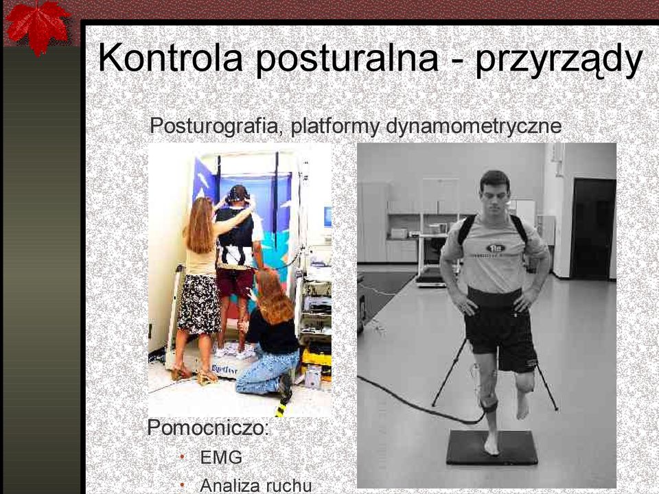 platformy dynamometryczne