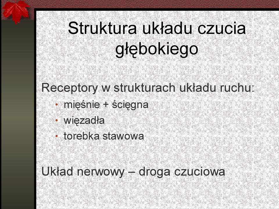 ruchu: mięśnie + ścięgna więzadła
