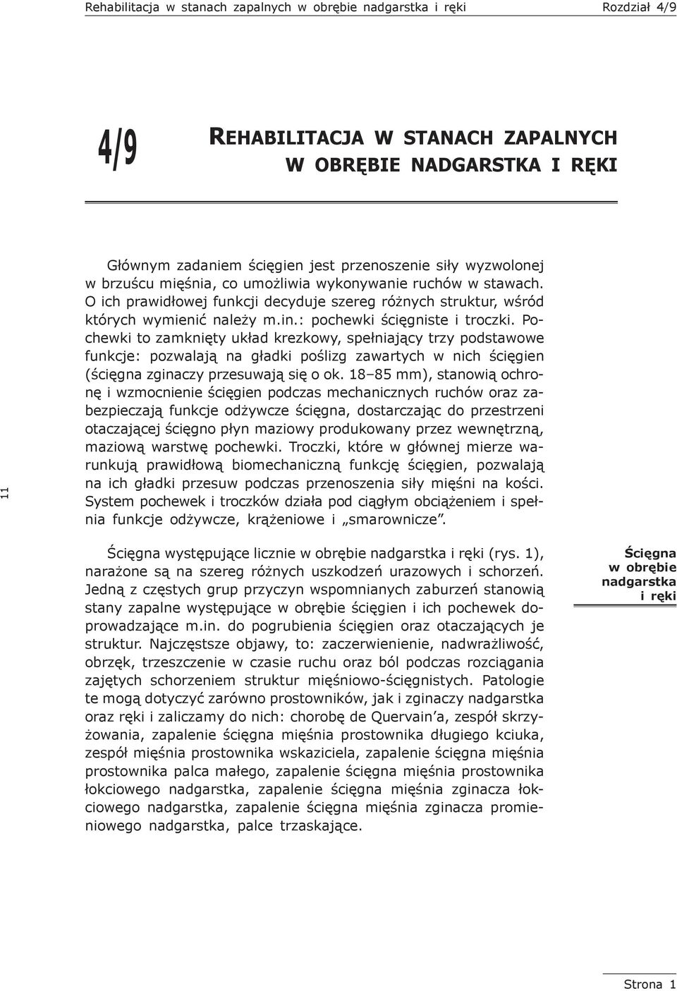 Pochewki to zamknięty układ krezkowy, spełniający trzy podstawowe funkcje: pozwalają na gładki poślizg zawartych w nich ścięgien (ścięgna zginaczy przesuwają się o ok.