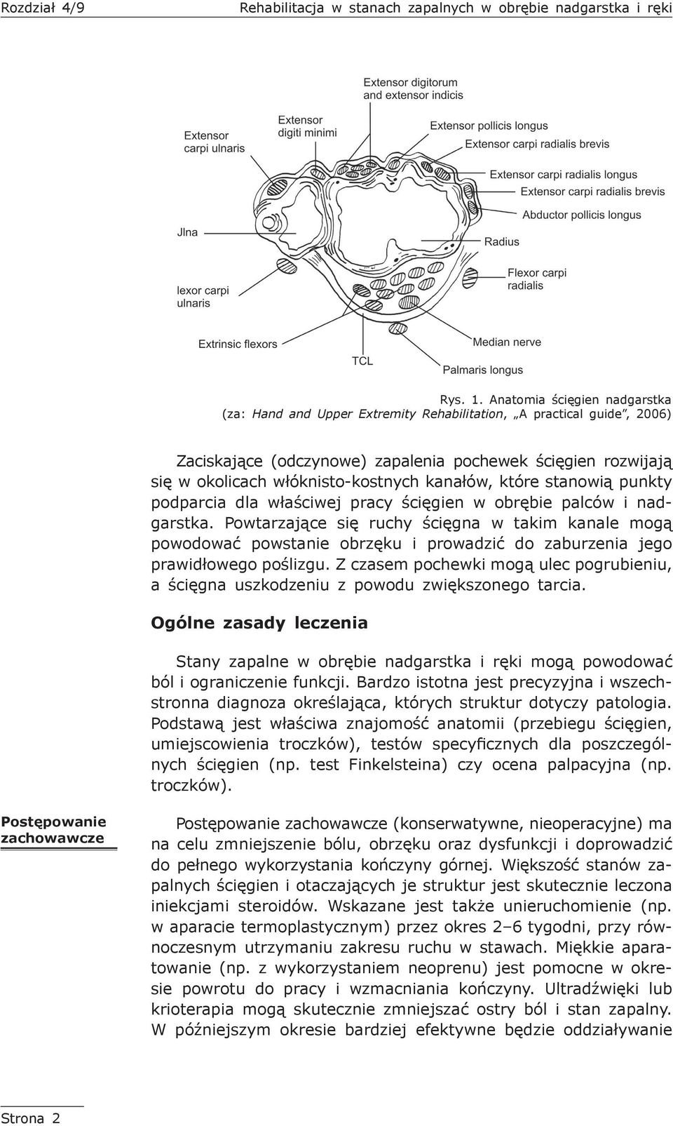 kanałów, które stanowią punkty podparcia dla właściwej pracy ścięgien w obrębie palców i nadgarstka.