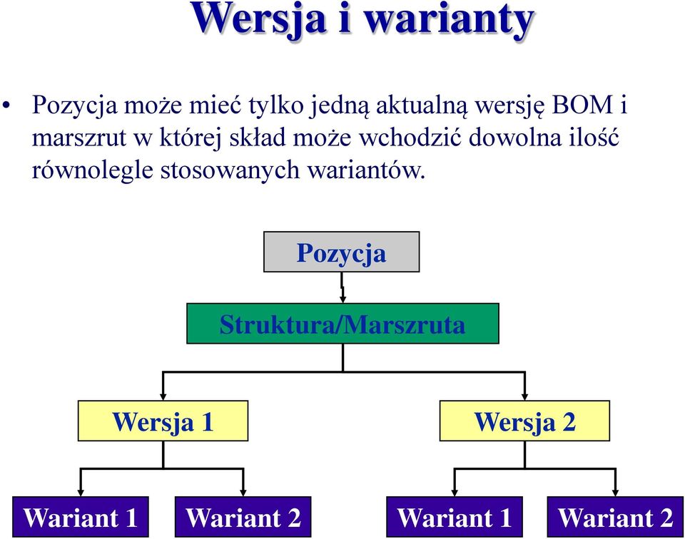 ilość równolegle stosowanych wariantów.