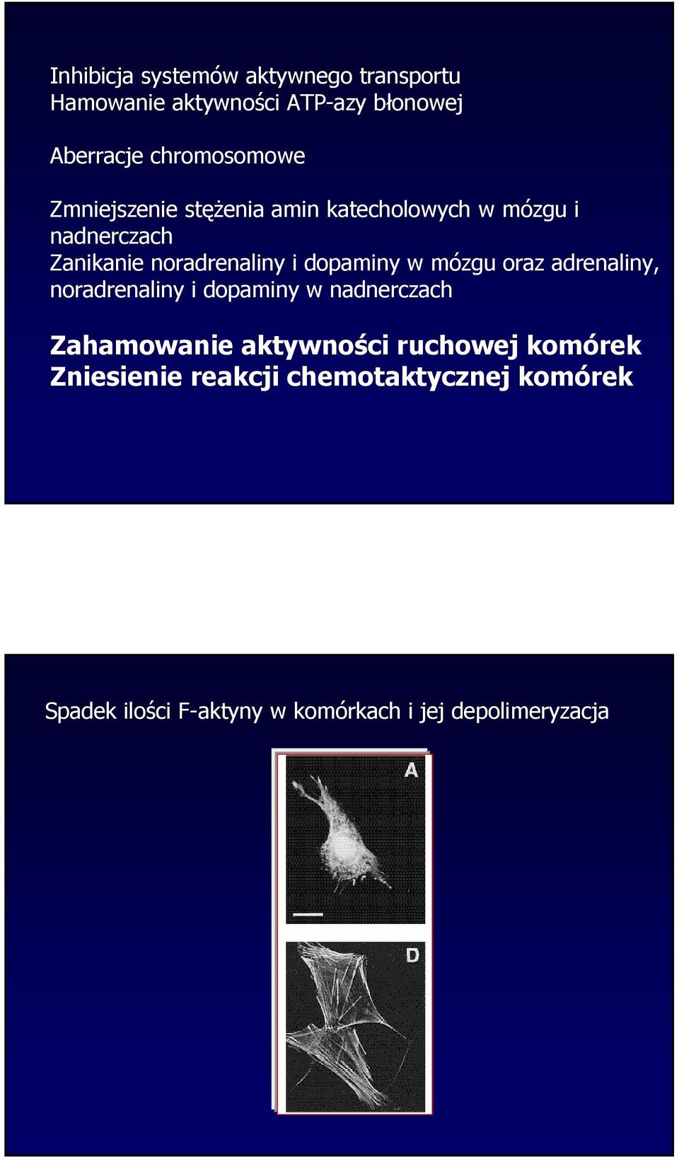 mózgu oraz adrenaliny, noradrenaliny i dopaminy w nadnerczach Zahamowanie aktywności ruchowej