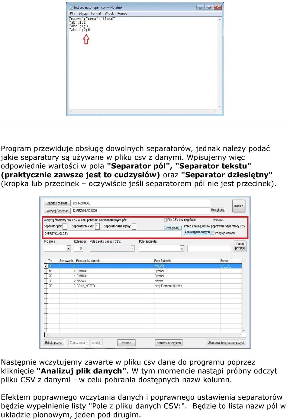 jeśli separatorem pól nie jest przecinek). Następnie wczytujemy zawarte w pliku csv dane do programu poprzez kliknięcie "Analizuj plik danych".