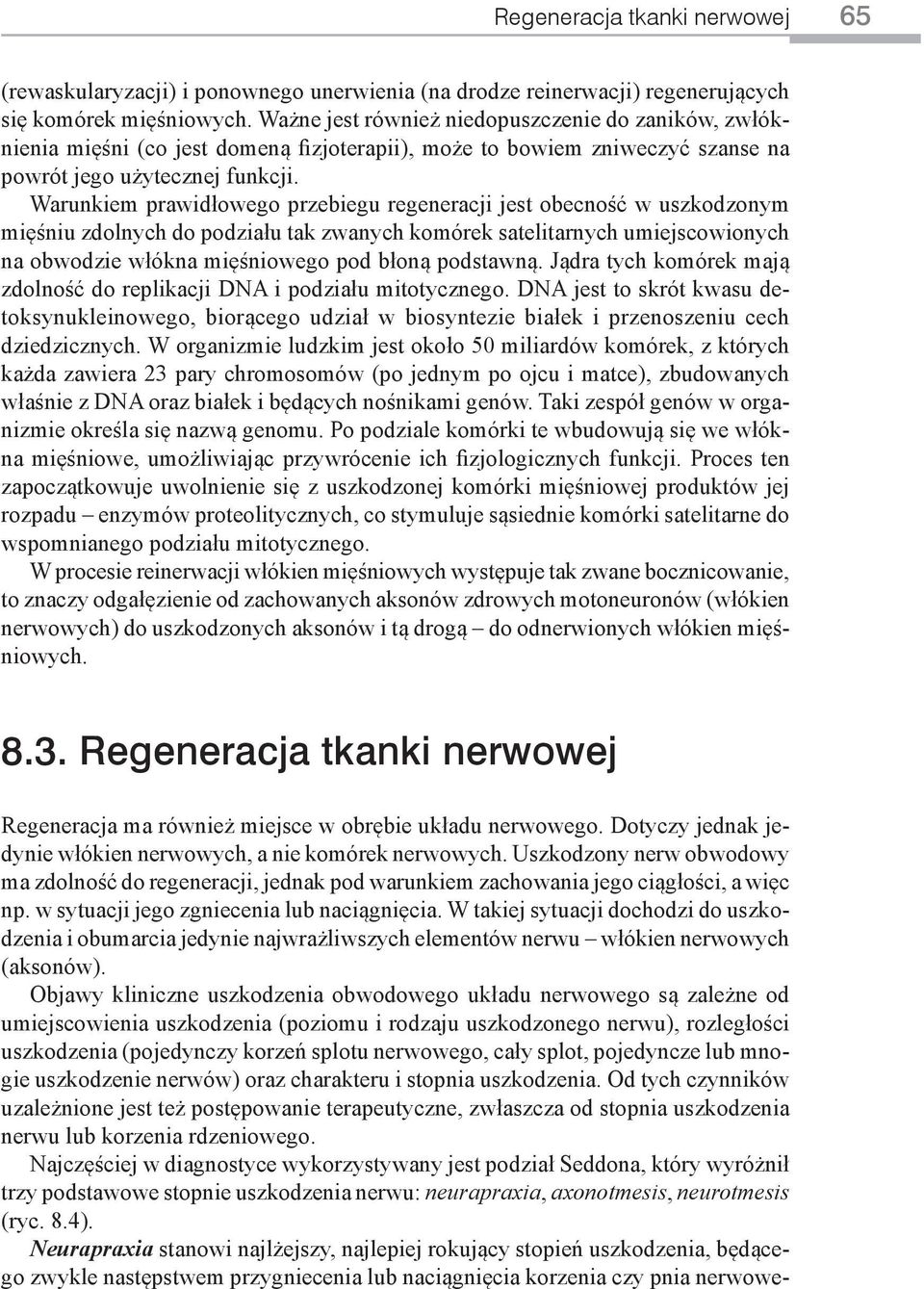 Warunkiem prawidłowego przebiegu regeneracji jest obecność w uszkodzonym mięśniu zdolnych do podziału tak zwanych komórek satelitarnych umiejscowionych na obwodzie włókna mięśniowego pod błoną