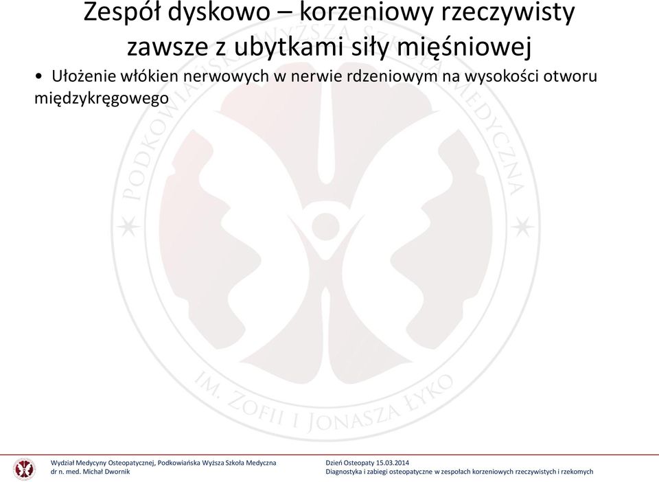 Ułożenie włókien nerwowych w nerwie