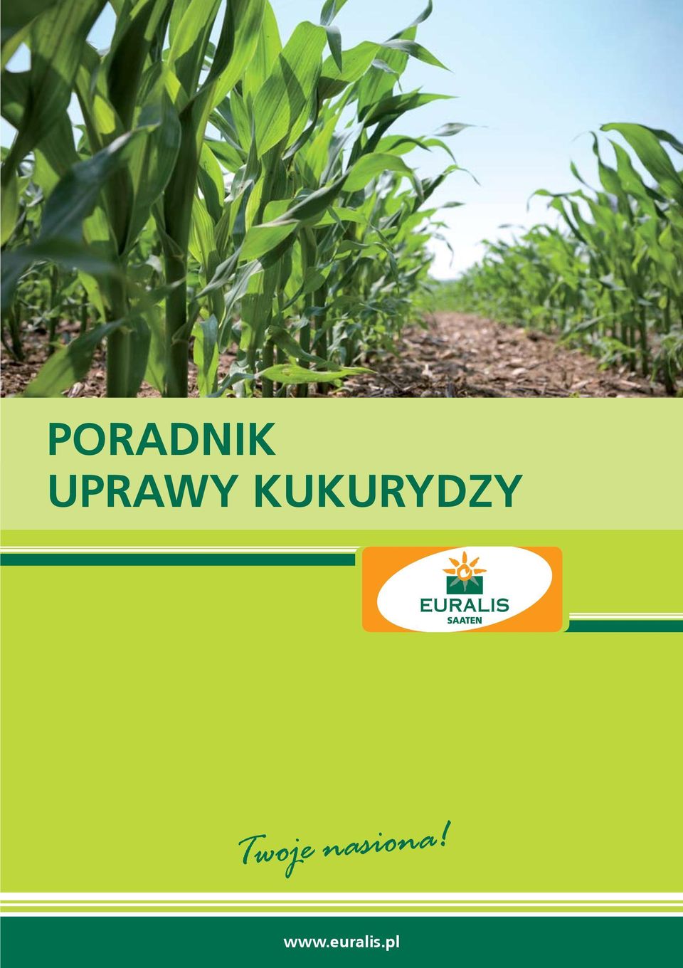 KUKURYDZY