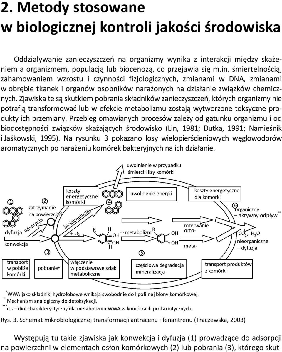 Zjawiska te są skutkiem pobrania składników zanieczyszczeń, których organizmy nie potrafią transformować lub w efekcie metabolizmu zostają wytworzone toksyczne produkty ich przemiany.