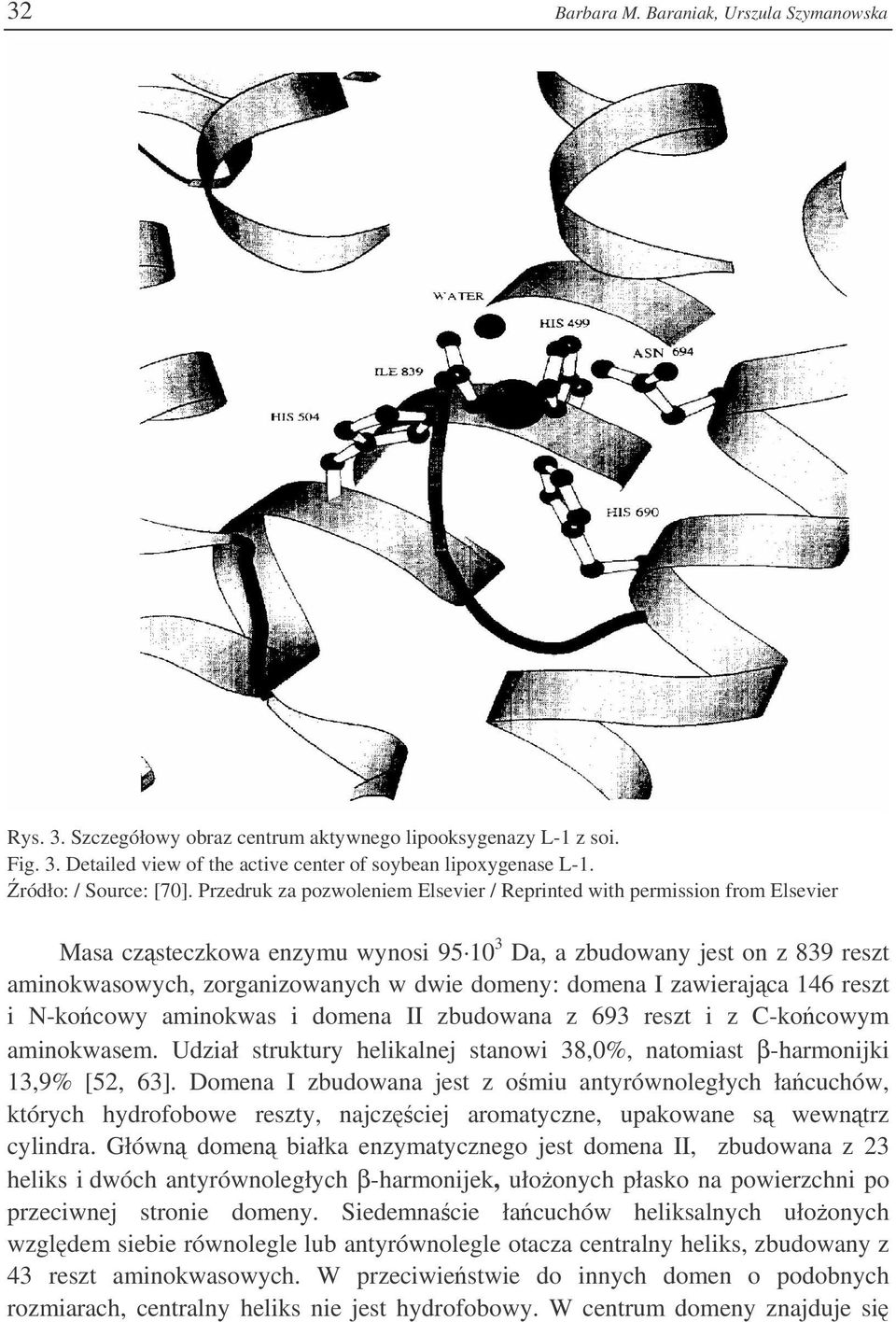 Przedruk za pozwoleniem Elsevier / Reprinted with permission from Elsevier Masa czsteczkowa enzymu wynosi 95 10 3 Da, a zbudowany jest on z 839 reszt aminokwasowych, zorganizowanych w dwie domeny: