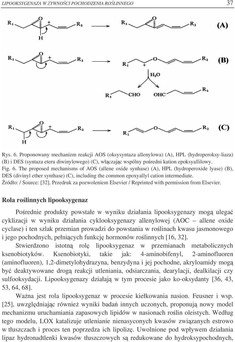 The proposed mechanisms of AOS (allene oxide synhase) (A), HPL (hydroperoxide lyase) (B), DES (divinyl ether synthase) (C), including the common epoxyallyl cation intermediate. ródło: / Source: [32].