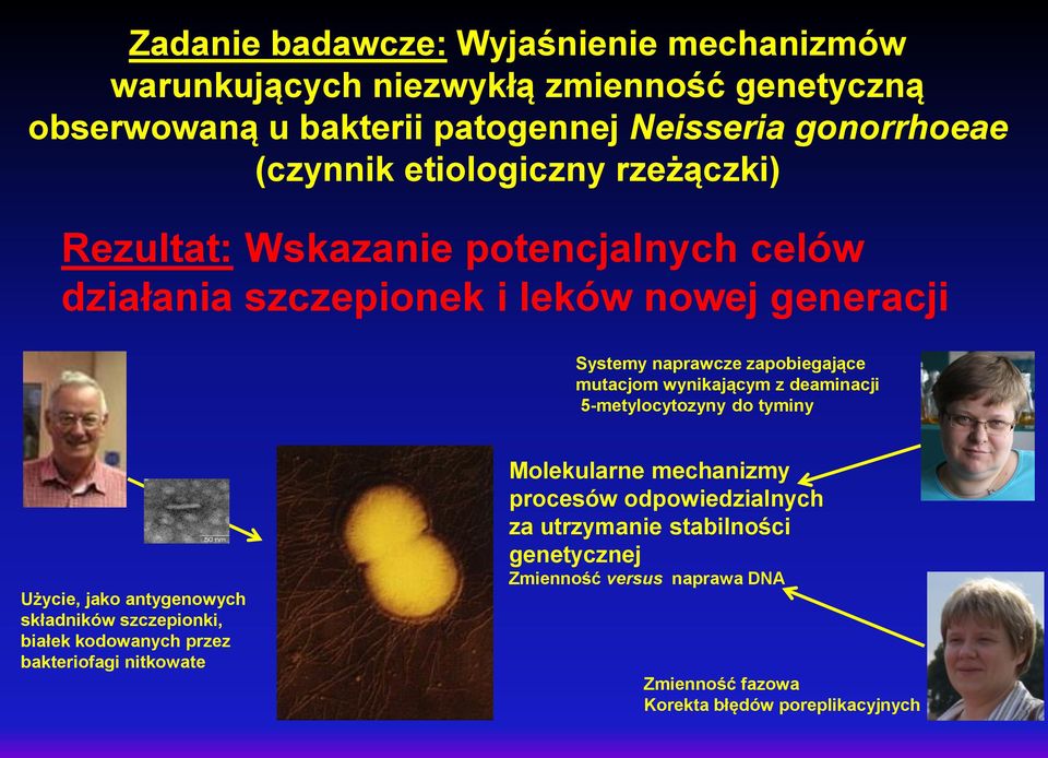 wynikającym z deaminacji 5-metylocytozyny do tyminy Użycie, jako antygenowych składników szczepionki, białek kodowanych przez bakteriofagi nitkowate