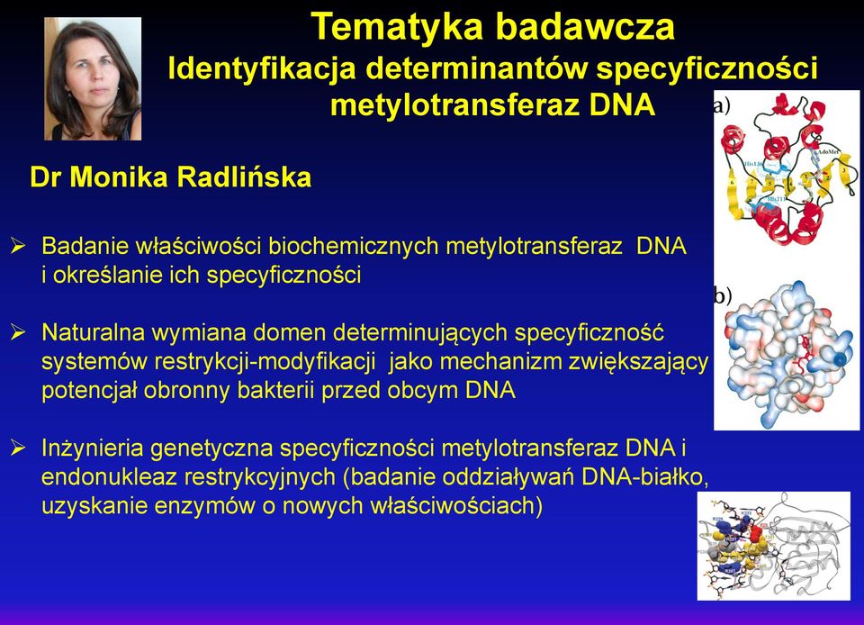systemów restrykcji-modyfikacji jako mechanizm zwiększający potencjał obronny bakterii przed obcym DNA Inżynieria genetyczna
