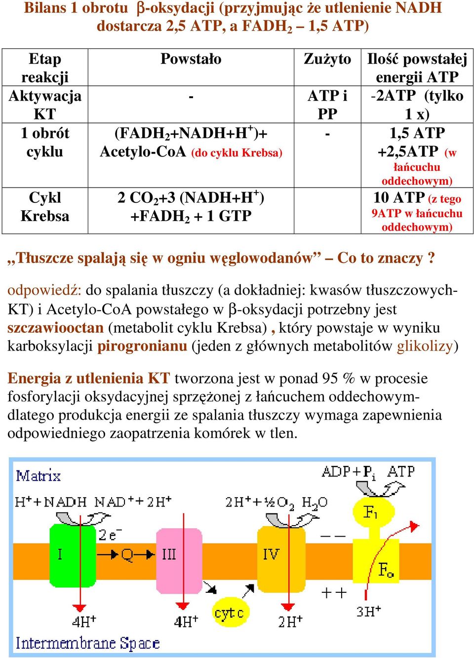 Tłuszcze spalają się w ogniu węglowodanów Co to znaczy?