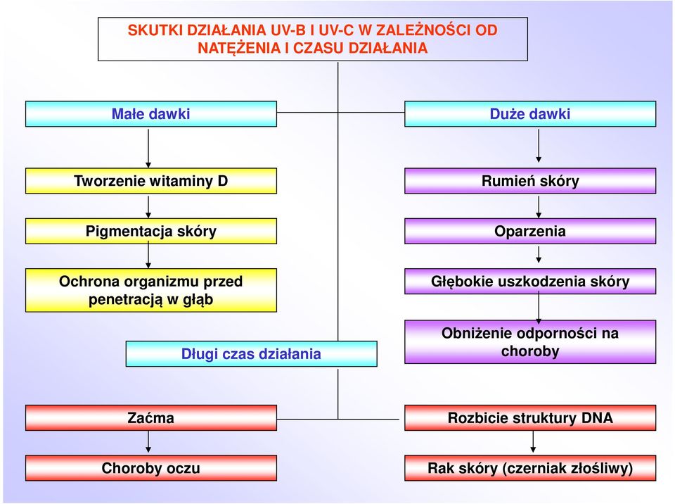organizmu przed penetracją w głąb Długi czas działania Głębokie uszkodzenia skóry