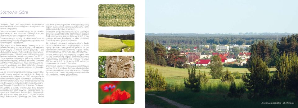 Wyruszając spod Publicznego Gimnazjum w Jastrowiu możemy odwiedzić rosnący na dziecińcu szkoły jedyny w mieście pomnik przyrody lipę drobnolistną Marylę.