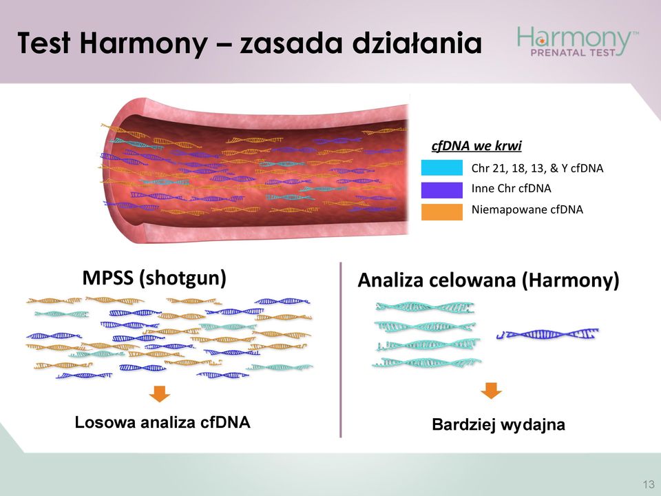Niemapowane cfdna MPSS (shotgun) Losowa