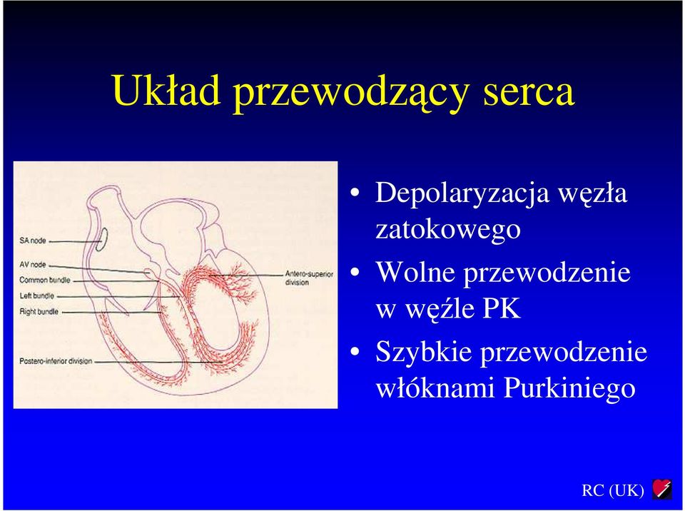 Wolne przewodzenie w węźle PK