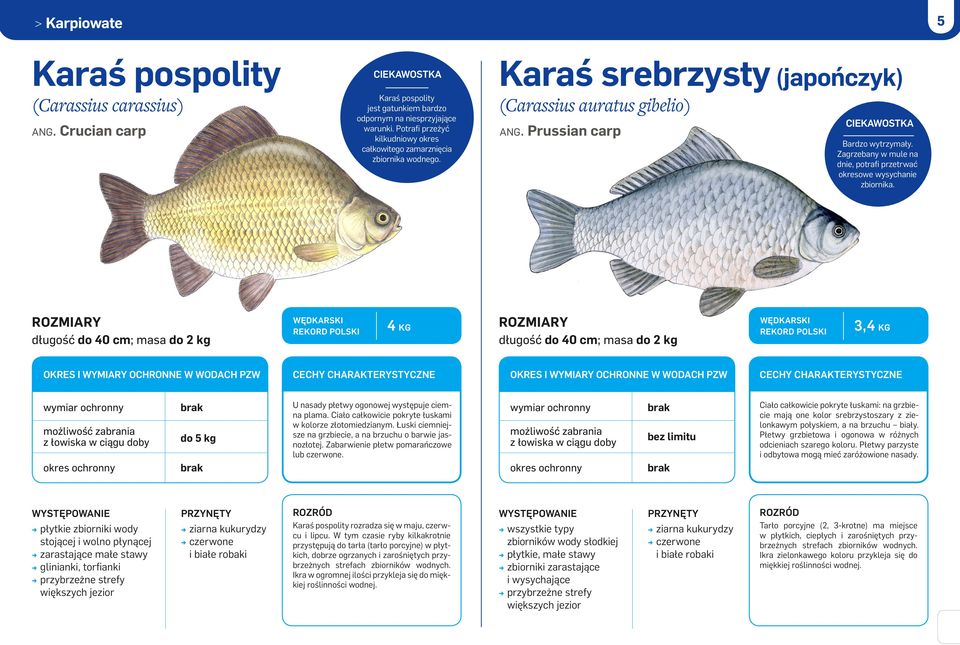 Zagrzebany w mule na dnie, potrafi przetrwać okresowe wysychanie zbiornika.