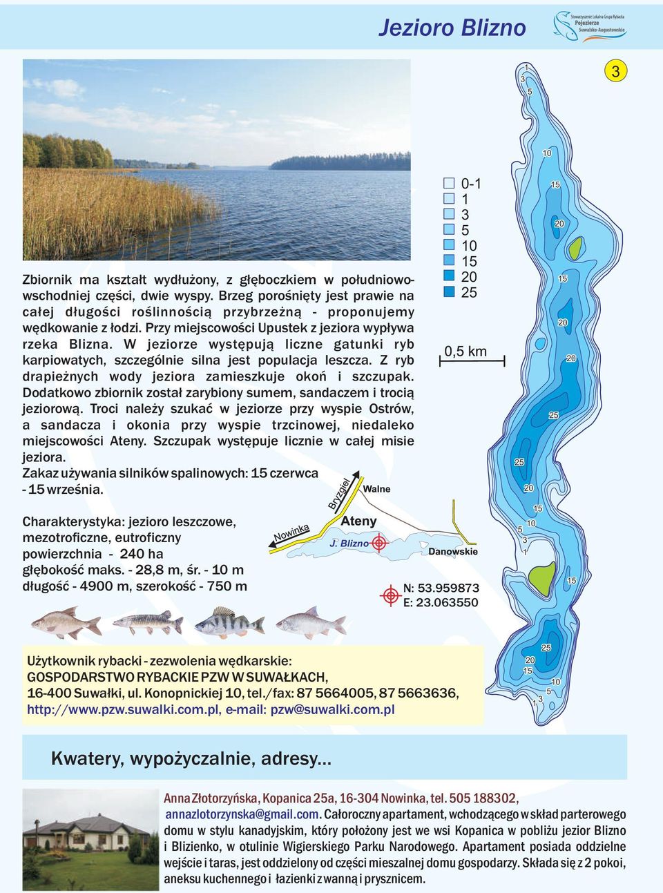 W jeziorze występują liczne gatunki ryb karpiowatych, szczególnie silna jest populacja leszcza. Z ryb drapieżnych wody jeziora zamieszkuje okoń i szczupak.